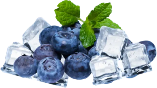 L4 disposable vape flavor : Ice Blueberry