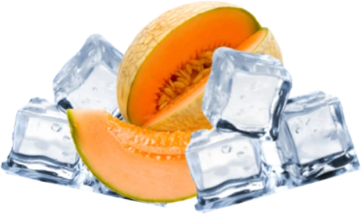 L4 disposable vape flavor : Ice Melon