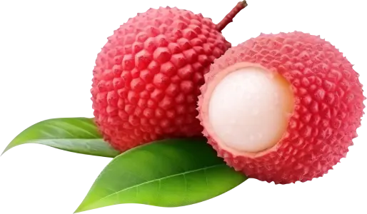 L4 disposable vape flavor : Lychee