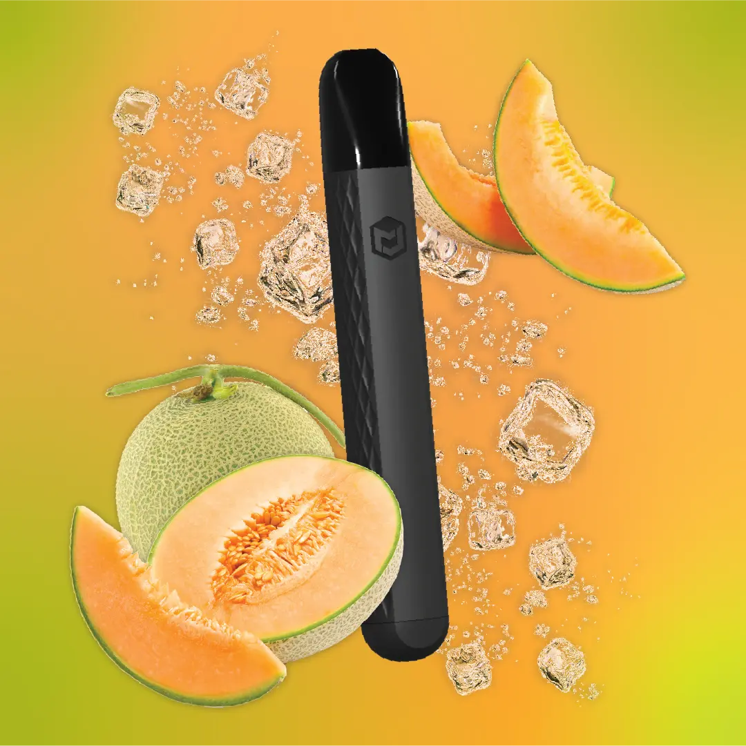 L4S disposable vape flavor : Ice Melon